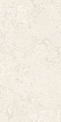 FOSSIL 120