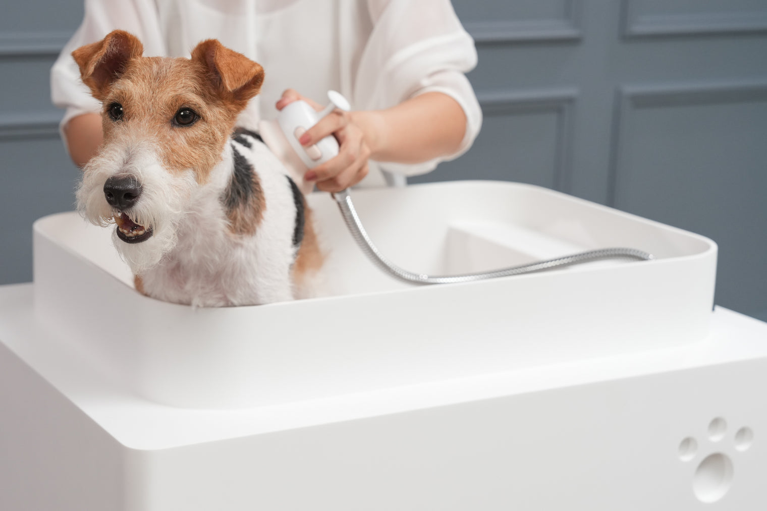 Doggie Bath (Small Breed)-BATHTUBS-doggie bath, dog bathtub, puppy bathtub,寵物浴缸,可移動浴缸,pet bathtub, 大型犬浴缸,小型犬浴缸, 犬隻浴缸,狗狗浴缸,Dog Grooming Bath Tub, animal bathtub, cat bathtub, Small pet bathtub hk,寵物沖涼,寵物洗澡
