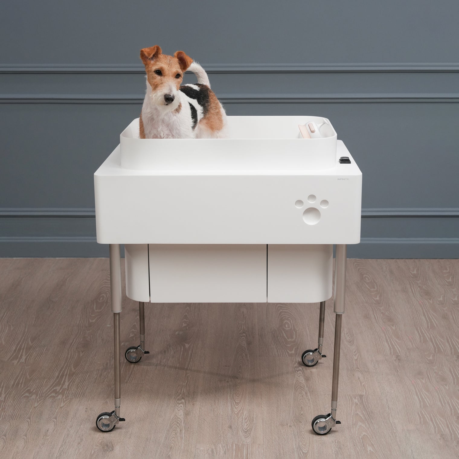 Doggie Bath (Small Breed)-BATHTUBS-doggie bath, dog bathtub, puppy bathtub,寵物浴缸,可移動浴缸,pet bathtub, 大型犬浴缸,小型犬浴缸, 犬隻浴缸,狗狗浴缸,Dog Grooming Bath Tub, animal bathtub, cat bathtub, Small pet bathtub hk,寵物沖涼,寵物洗澡