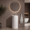 Modern bathroom with a round mirror, pedestal sink, and plant.