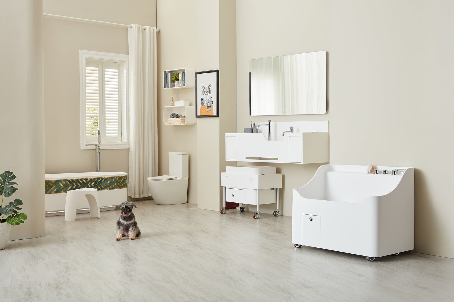 Doggie Bath (Large Breed)-BATHTUBS-doggie bath, dog bathtub, puppy bathtub,寵物浴缸,可移動浴缸,pet bathtub, 大型犬浴缸，小型犬浴缸, 犬隻浴缸，狗狗浴缸,Dog Grooming Bath Tub, animal bathtub, cat bathtub, Small pet bathtub hk,寵物沖涼,寵物洗澡