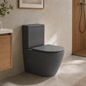 A matte dark gray ceramic toilet with a matching closed lid, shown installed in a modern bathroom with beige walls, wood cabinetry, and a glass shower enclosure.
