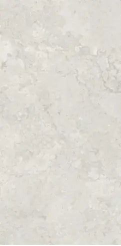 FOSSIL 120
