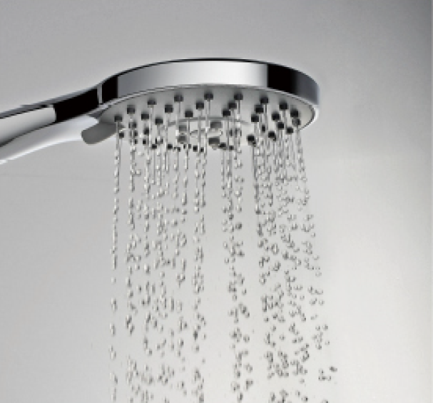 JENA Shower Head